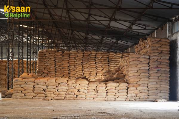 बीज का भण्डारण कैसे करें